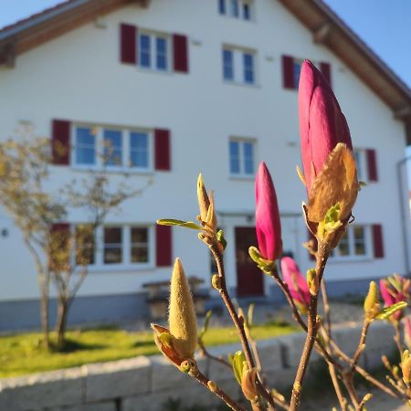 Viel Platz In Bernbach Lägenhet Bidingen Exteriör bild